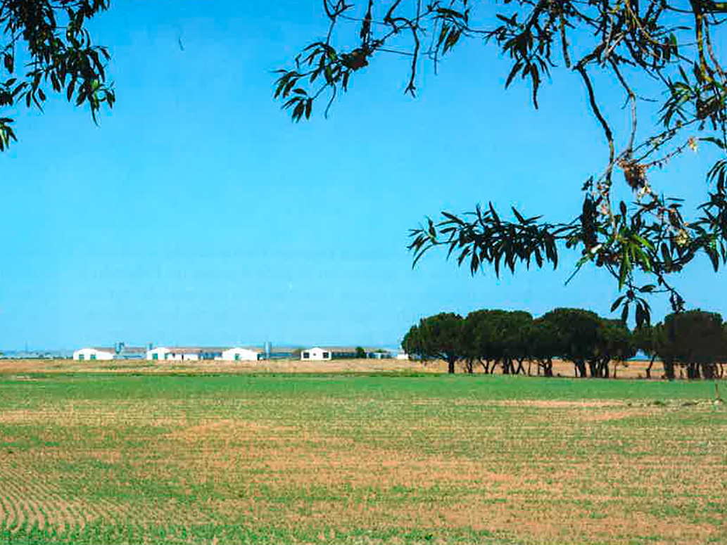 Granja Casas Blancas