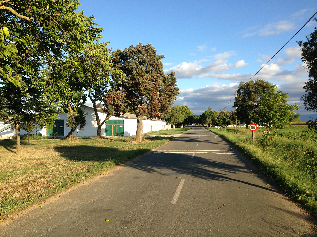 Granja Casas Blancas